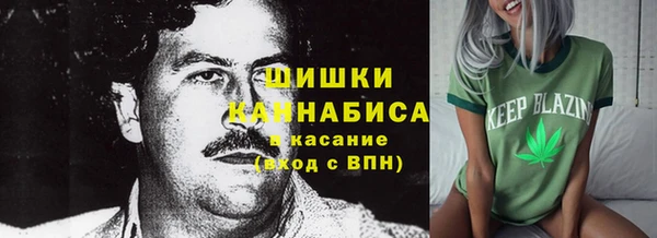 бошки Алексин