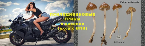 МДПВ Алзамай