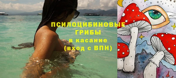 бошки Алексин