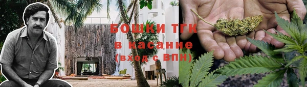бошки Алексин