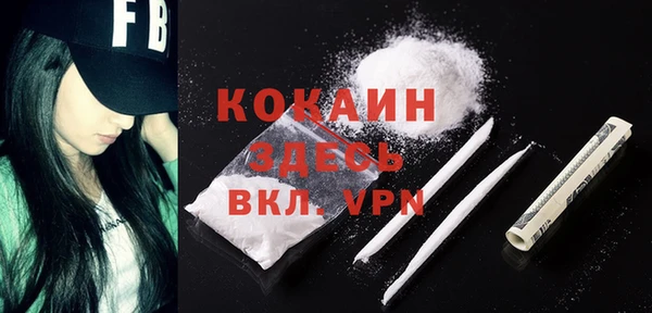 бошки Алексин